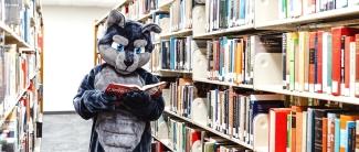 狼和书在图书馆